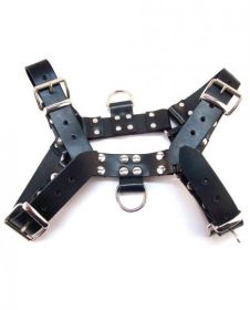 Rouge Over The Head Medium Harness